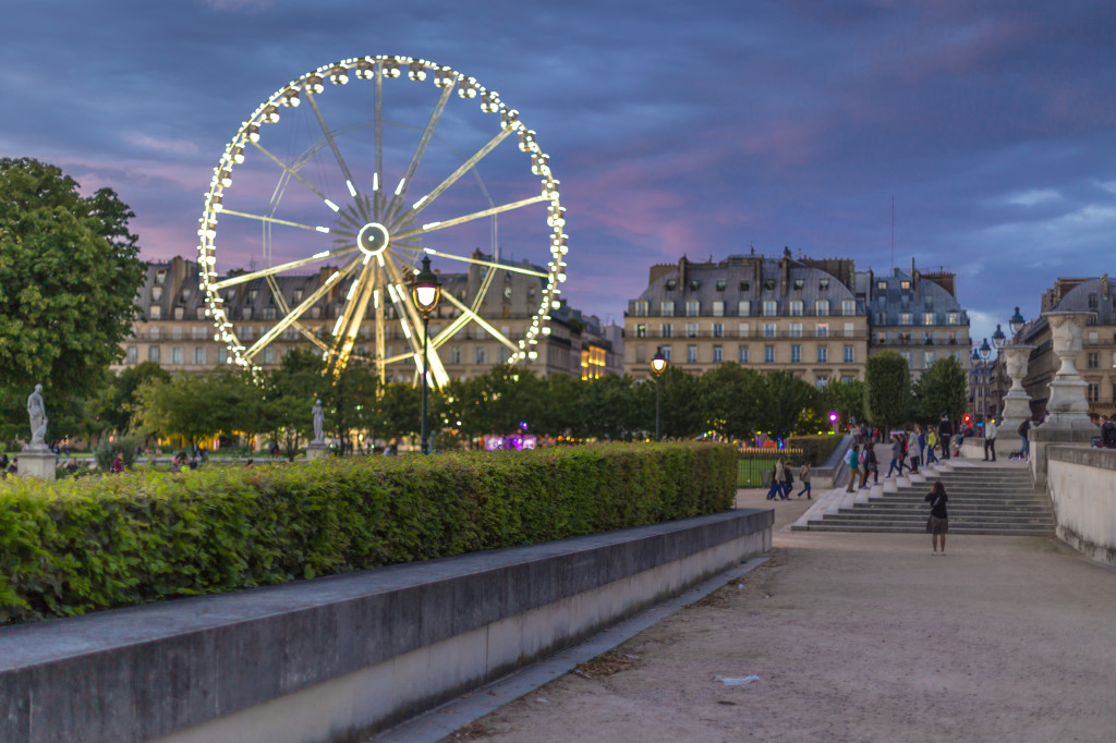 1Project365_Paris_2014_2995