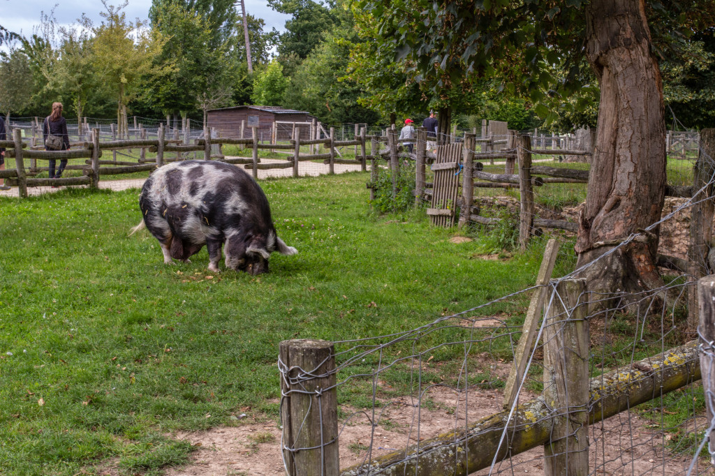 1Project365_Versailles_2014_9057