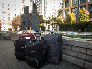 Van Gallery Luggage