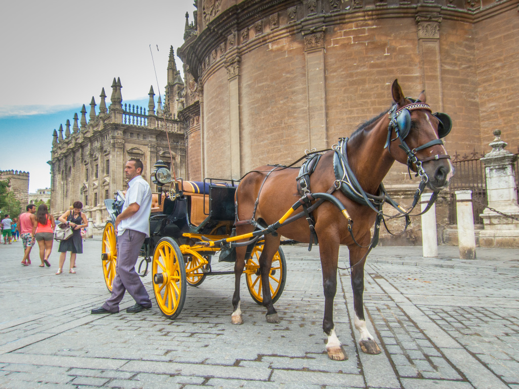 1Project365_Seville_2014_9643