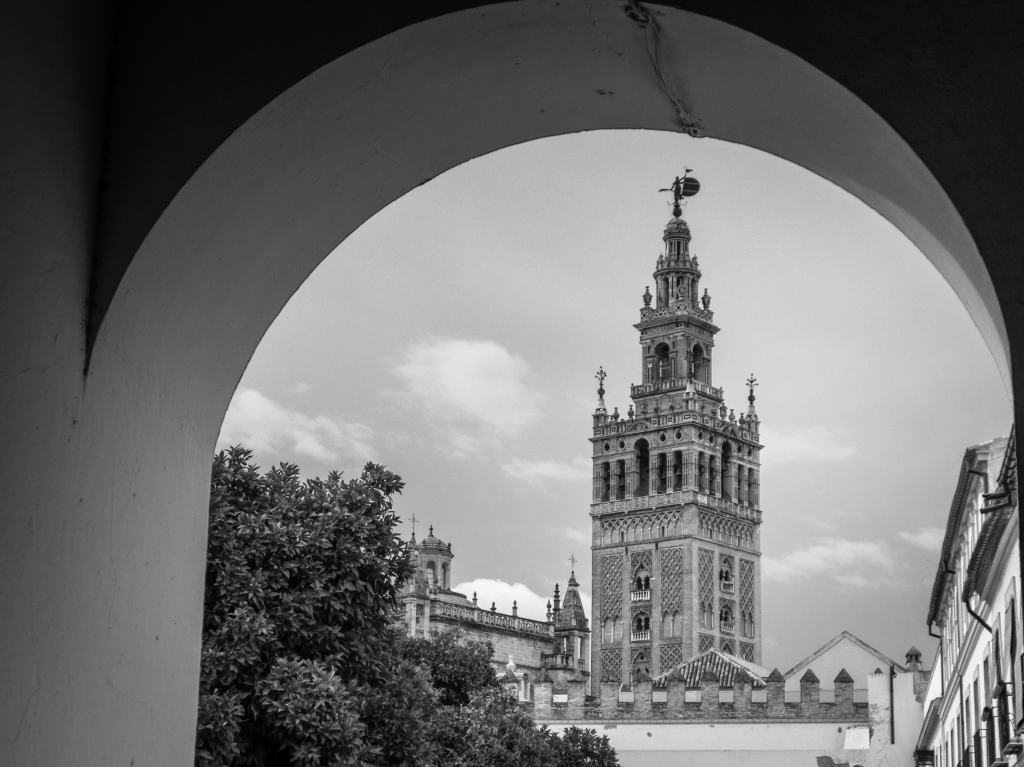 1Project365_Seville_2014_9651