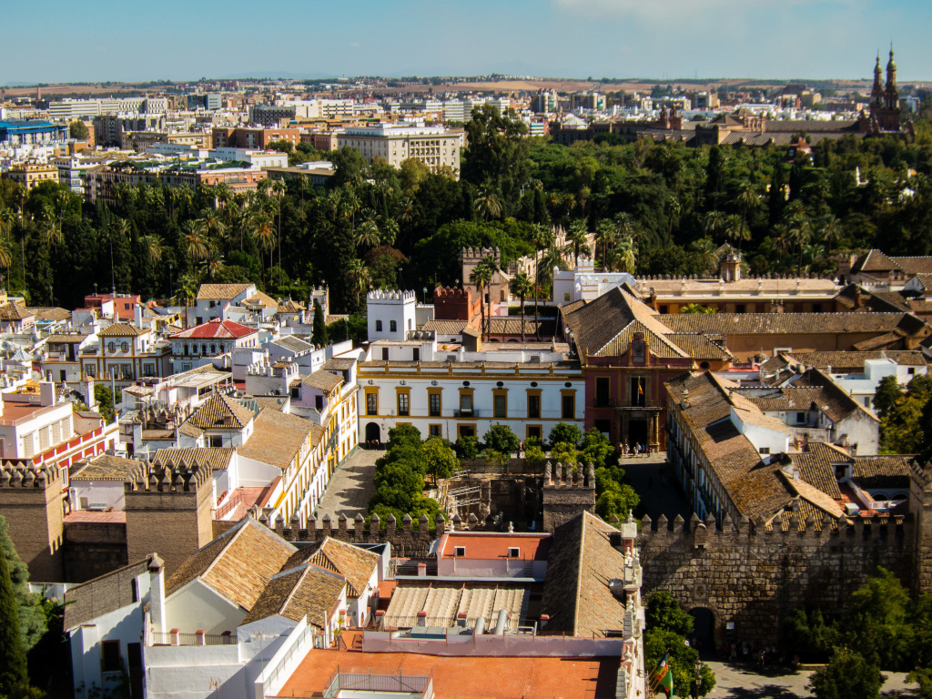 1Project365_Seville_2014_9700