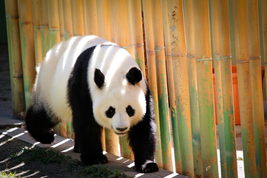 Madrid_Zoo-9523