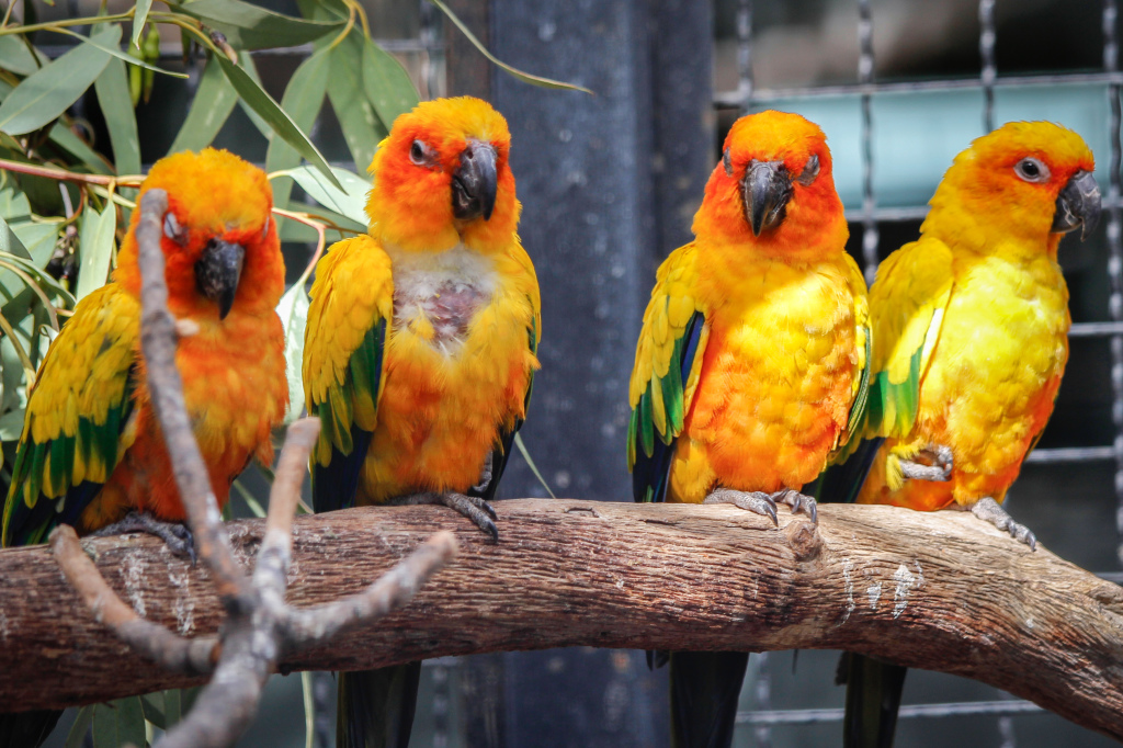 Madrid_Zoo-9663