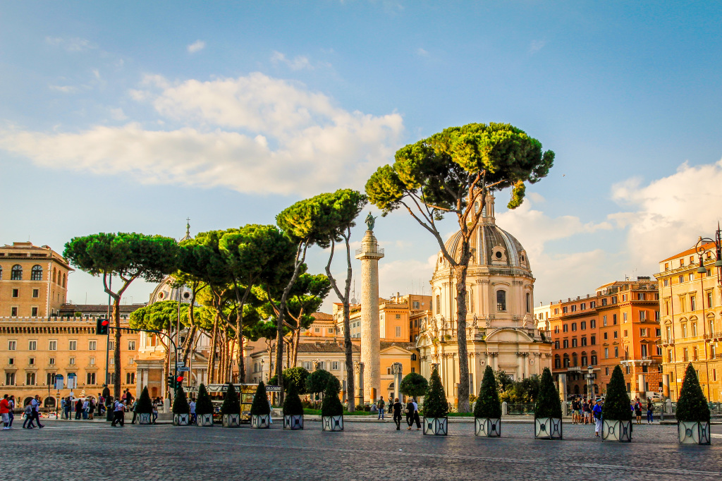 Umbrella Pine trees or Stone Pines.  These trees dress the city of Rome