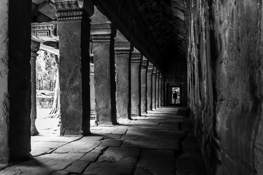 1Project365_AnkorWat_2014_8064