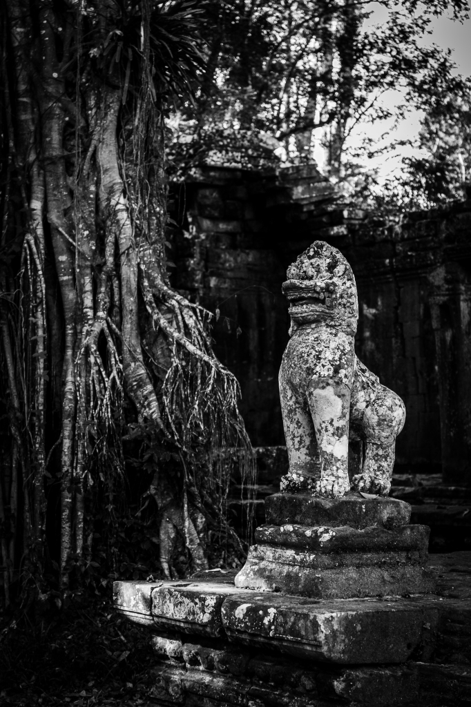 1Project365_AnkorWat_2014_8492