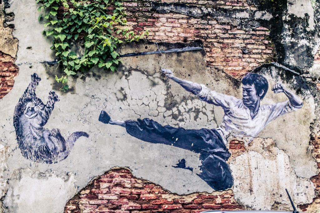 Bruce Lee 
