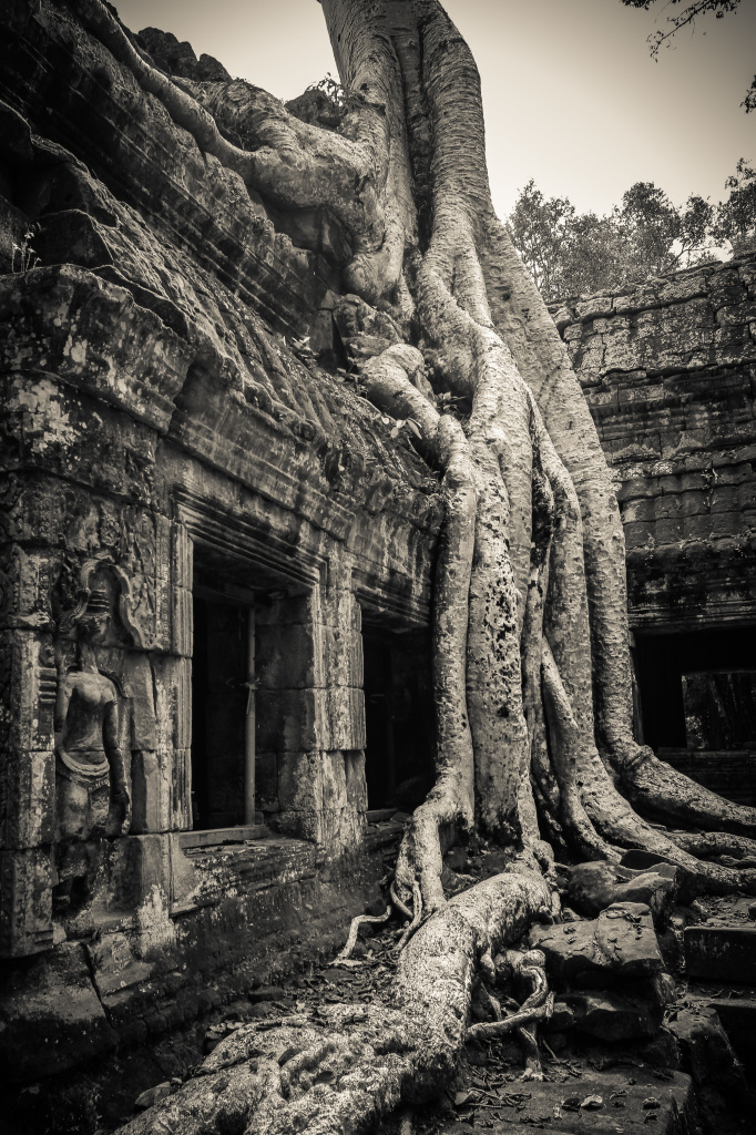 Angkor_Wat-1876