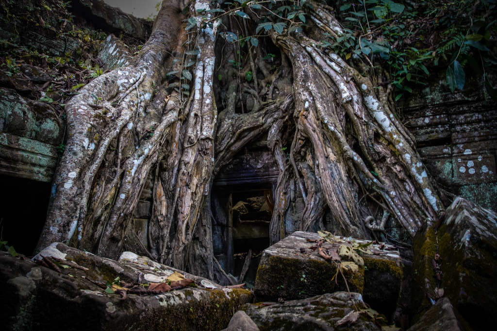 Angkor_Wat-1938