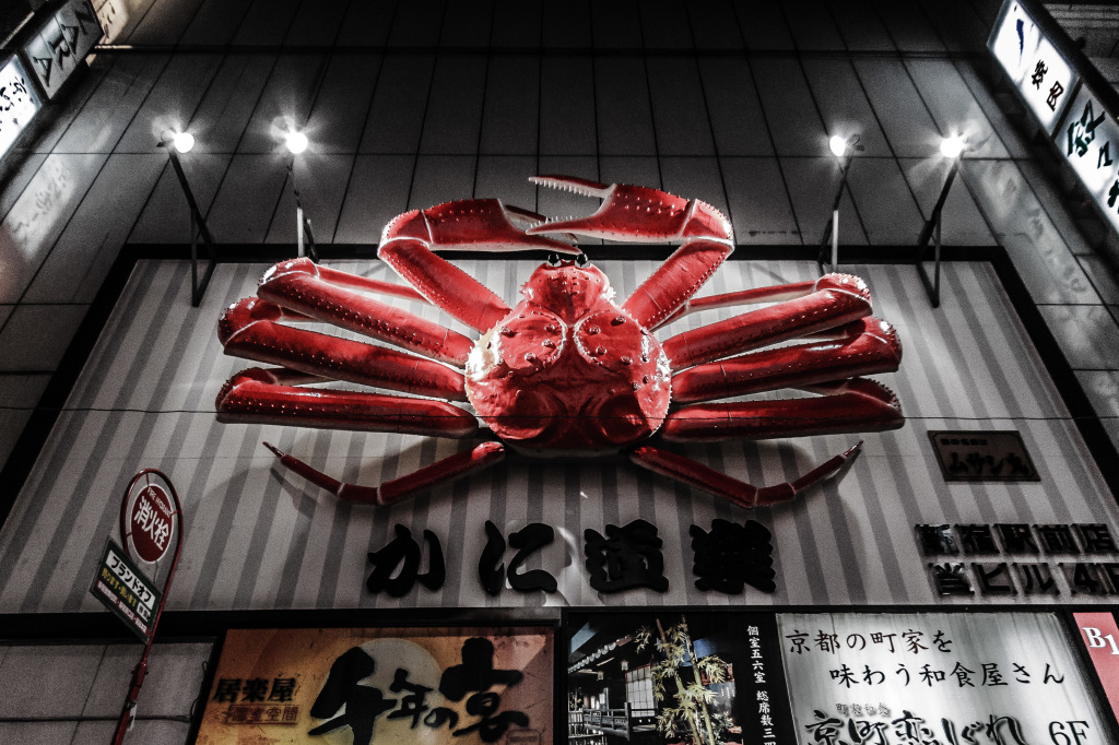 1Project365_Tokyo_2015_1124