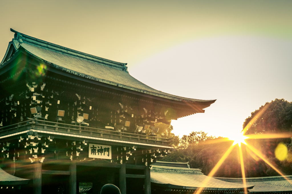 1Project365_Tokyo_2015_9919