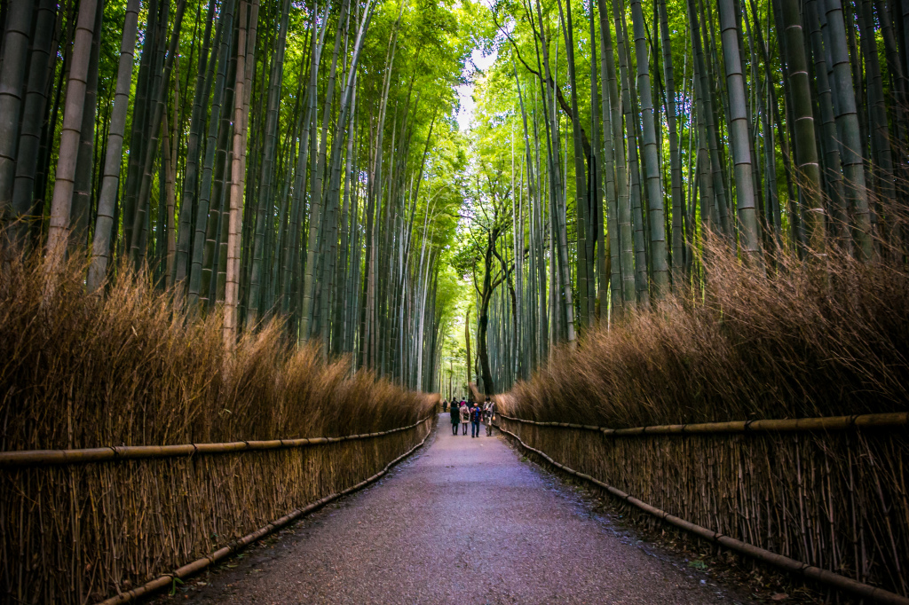 1Project365_Kyoto_2015_0823