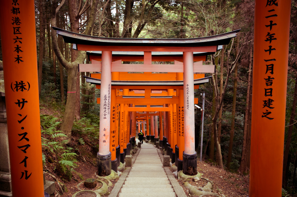 1Project365_Kyoto_2015_1124