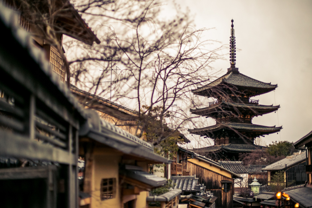 1Project365_Kyoto_2015_9820