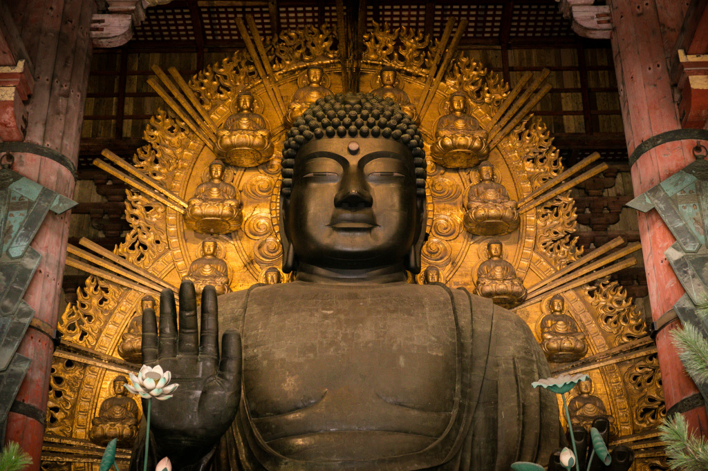 1Project365_Nara_2015_1528