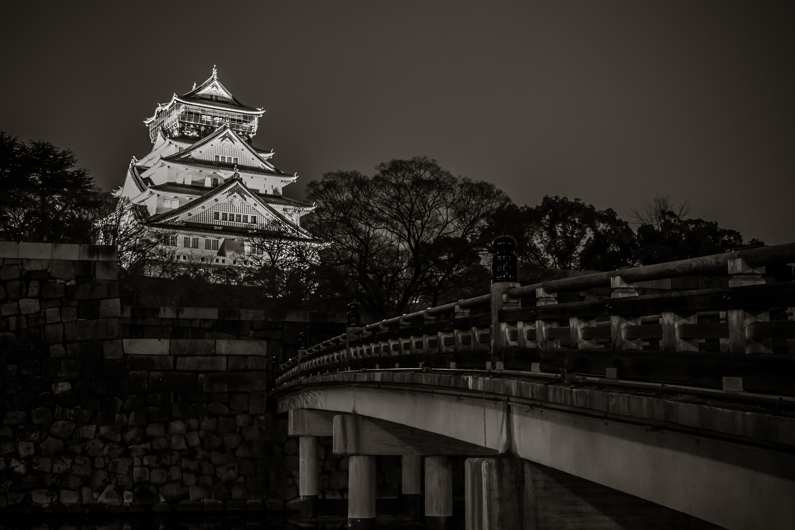 1Project365_Osaka_2015_0165