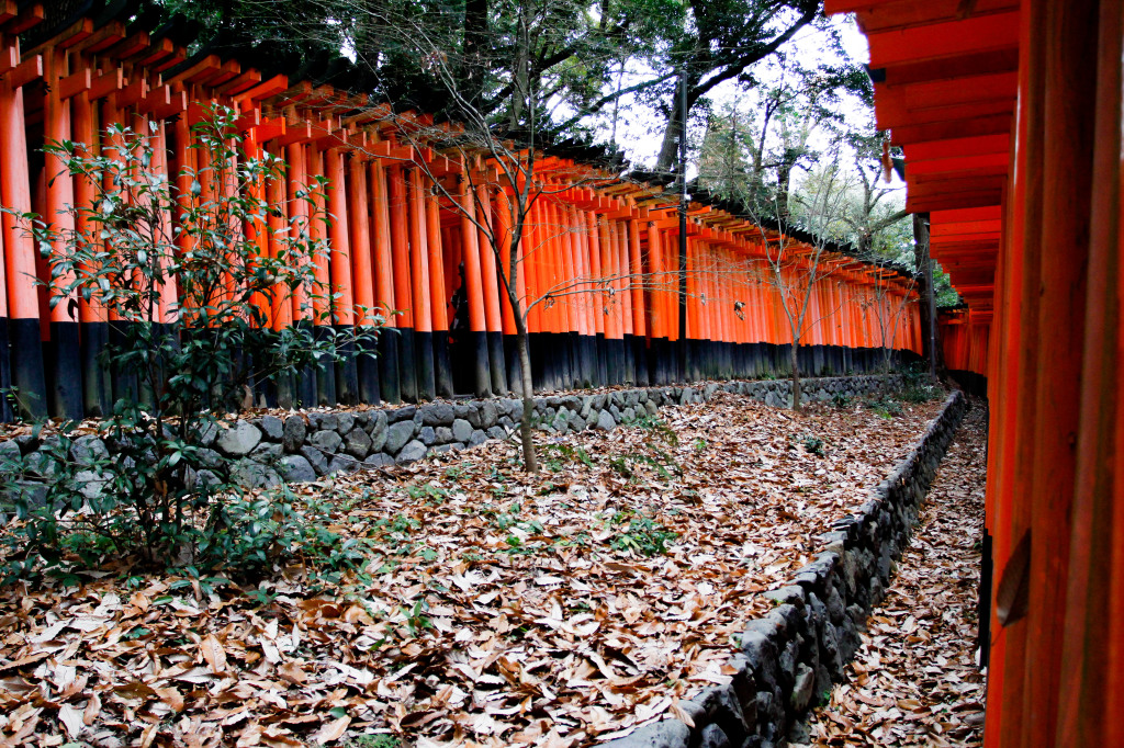 Kyoto_2015-3682