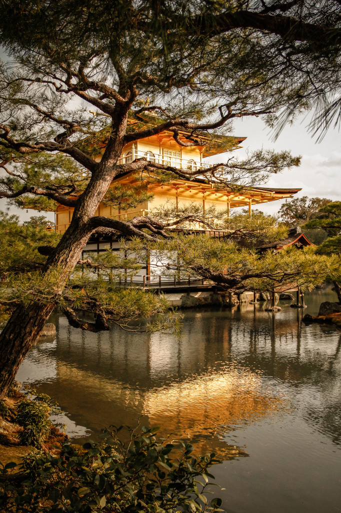 Kyoto_2015-3725