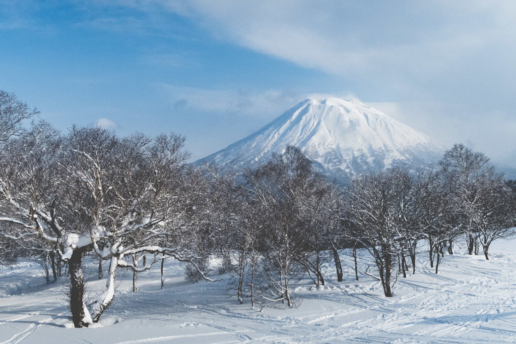 1Project365_Niseko_2015_1941