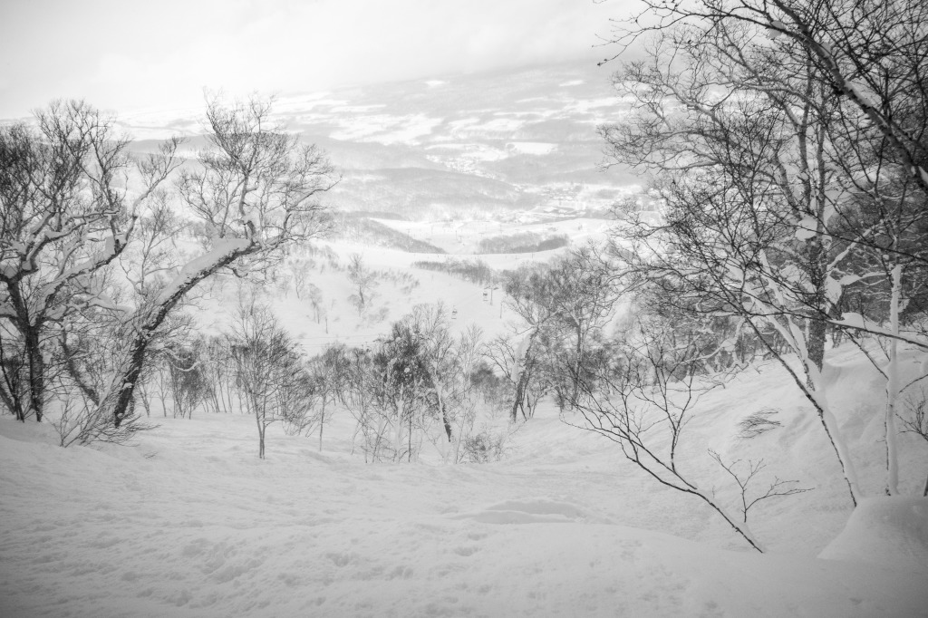 Niseko-2050