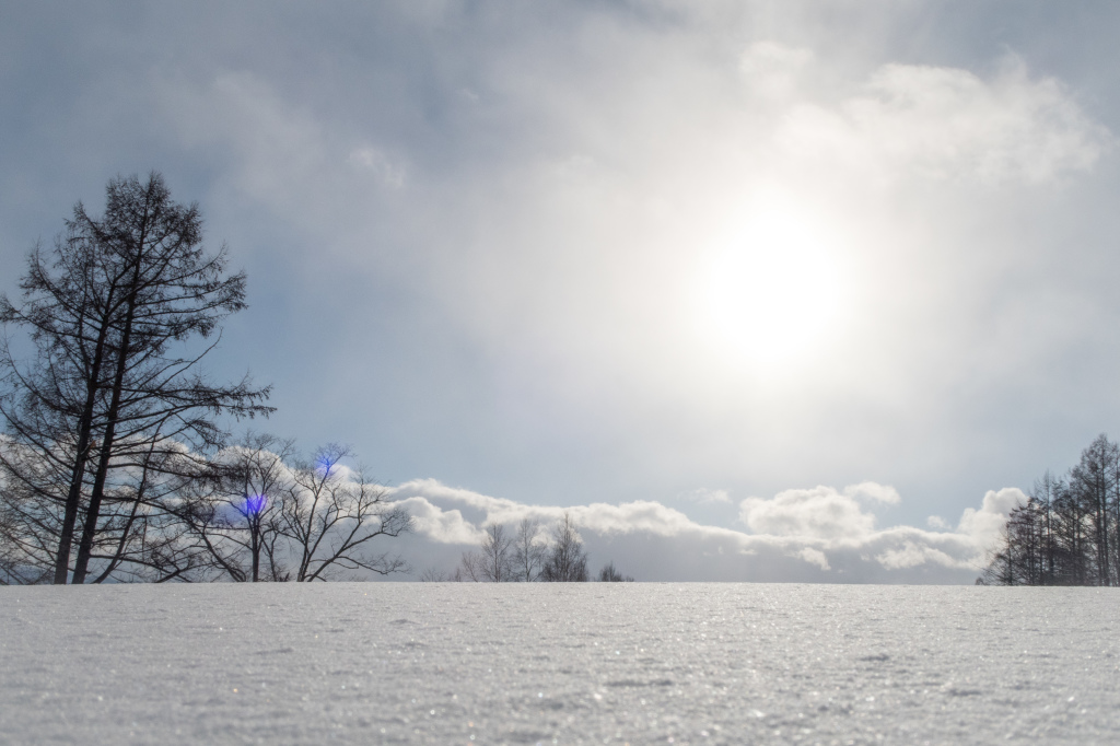 Niseko-2081