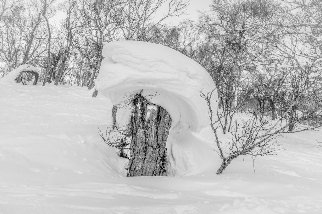niseko-2055